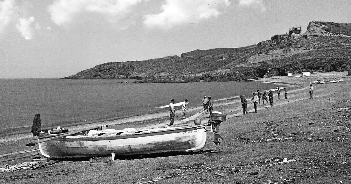 Scalea