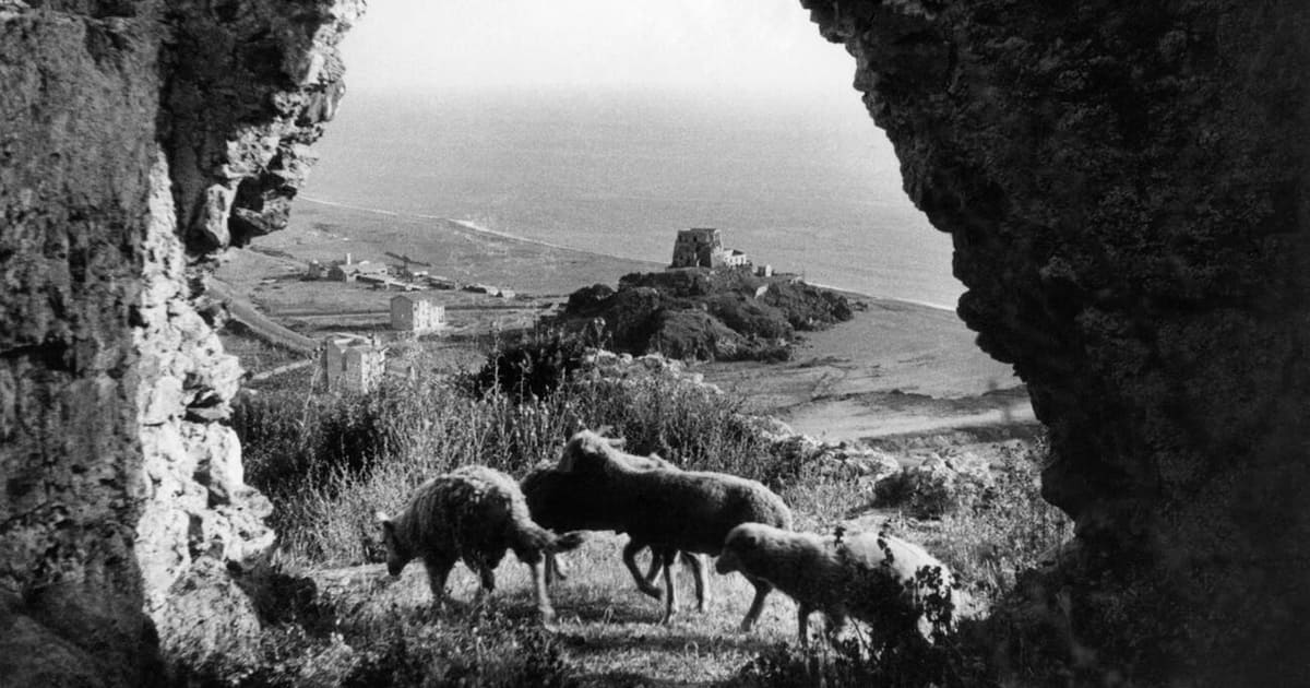 Scalea