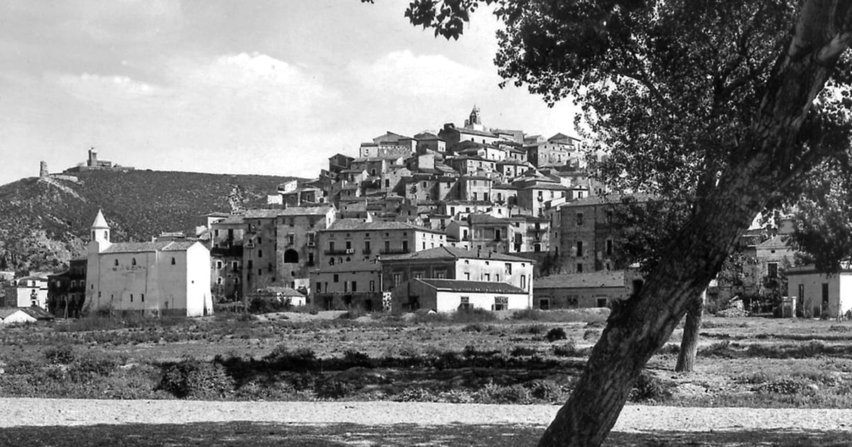 Scalea